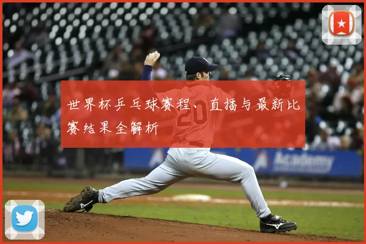 世界杯乒乓球赛程、直播与最新比赛结果全解析
