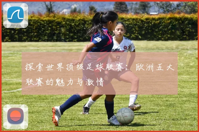探索世界顶级足球联赛：欧洲五大联赛的魅力与激情